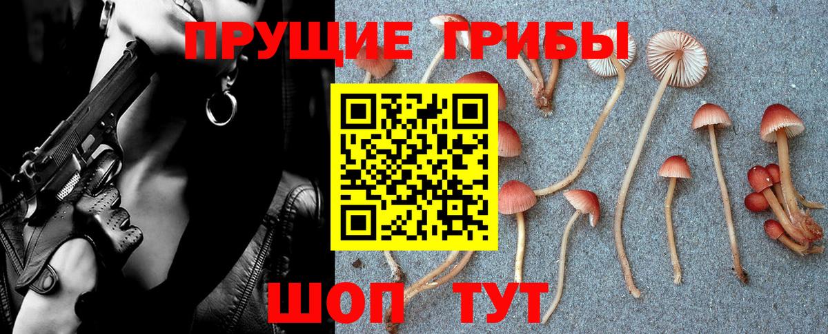 Псилоцибиновые грибы мицелий  Галлюциногенные грибы Cubensis  Вход с VPN  Вязники 