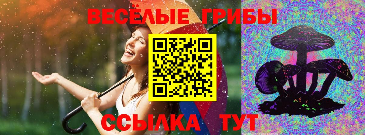 Псилоцибиновые грибы MAGIC MUSHROOMS Вязники